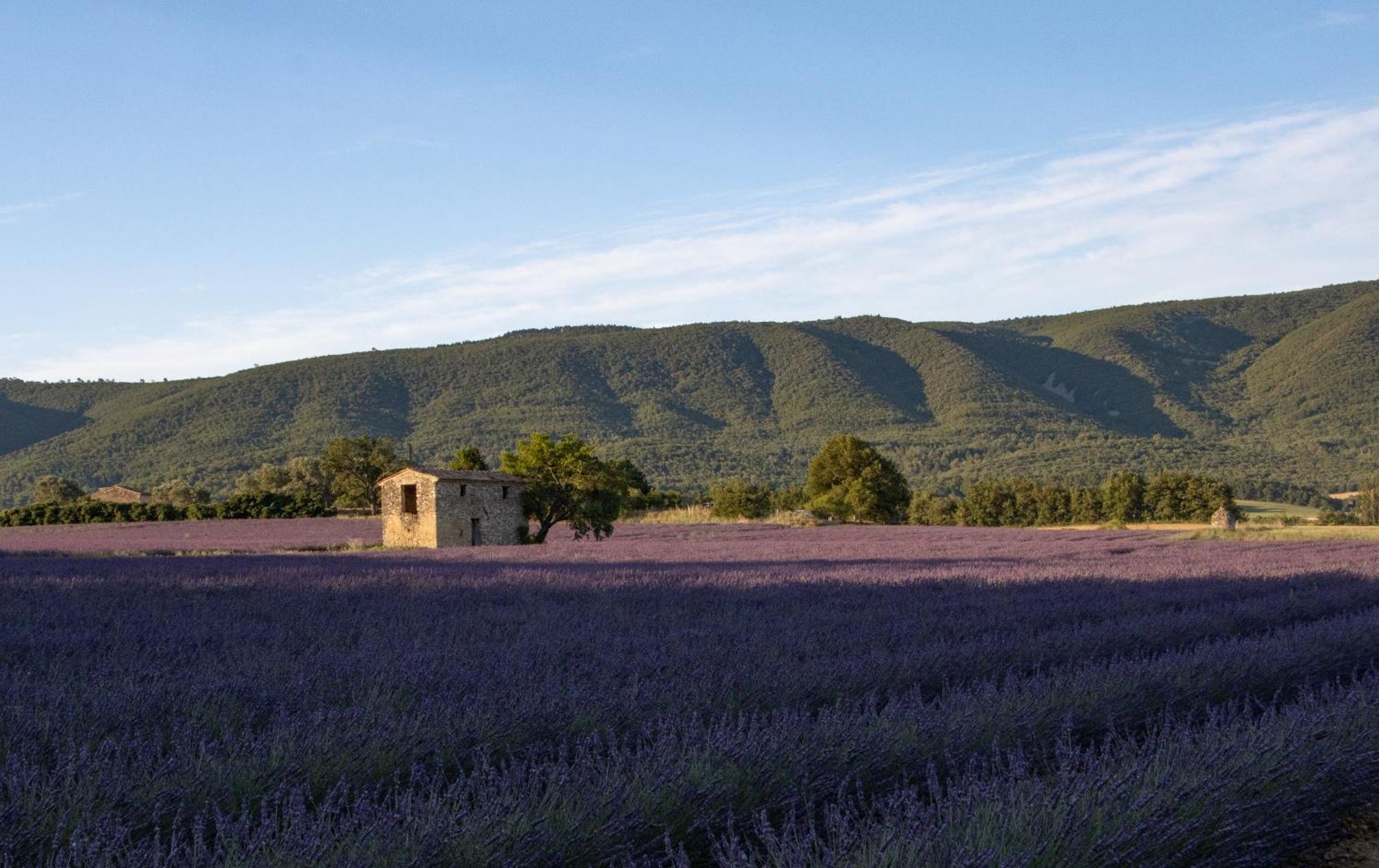 Studio Dans Le Luberon Céreste Exteriér fotografie