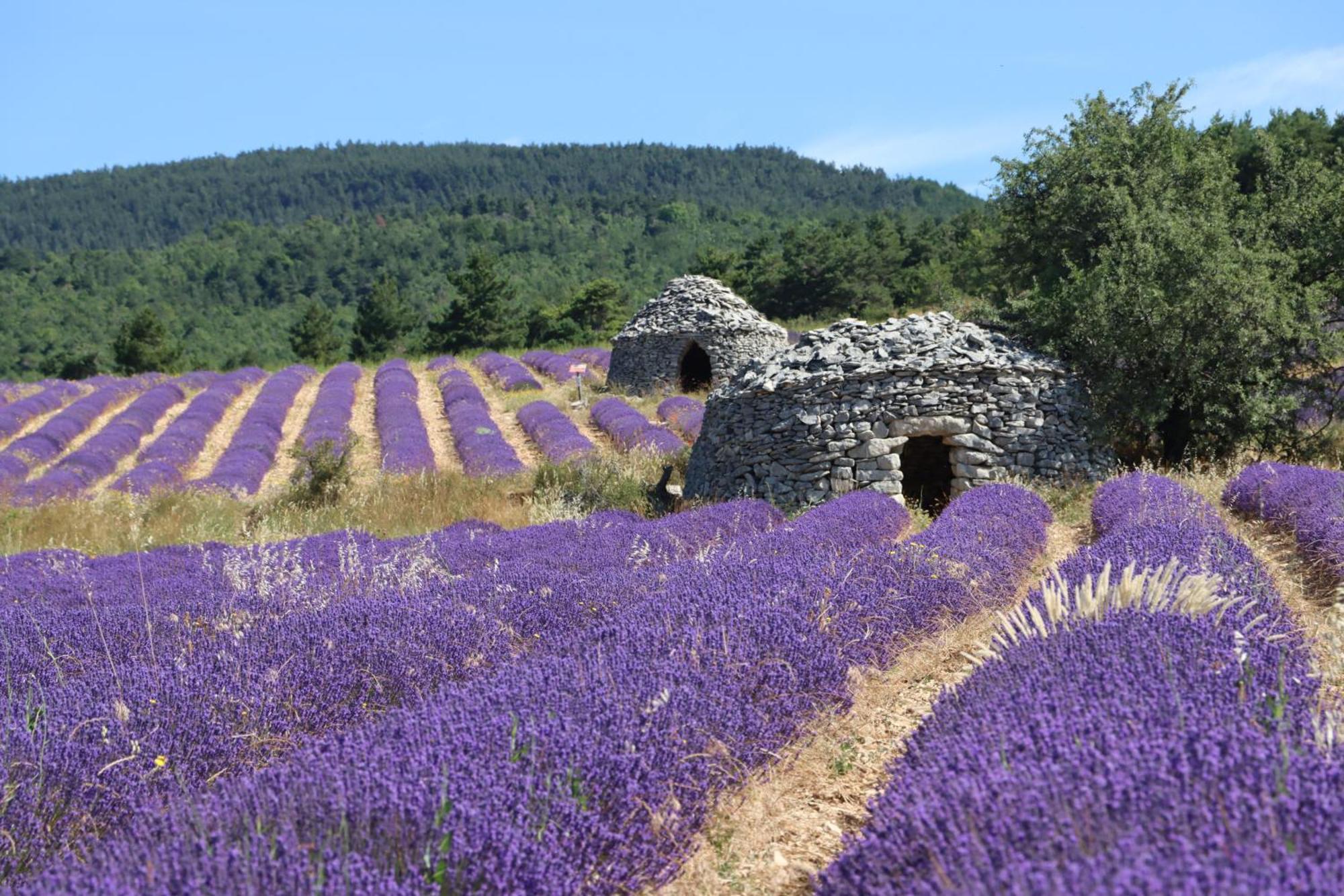 Studio Dans Le Luberon Céreste Exteriér fotografie