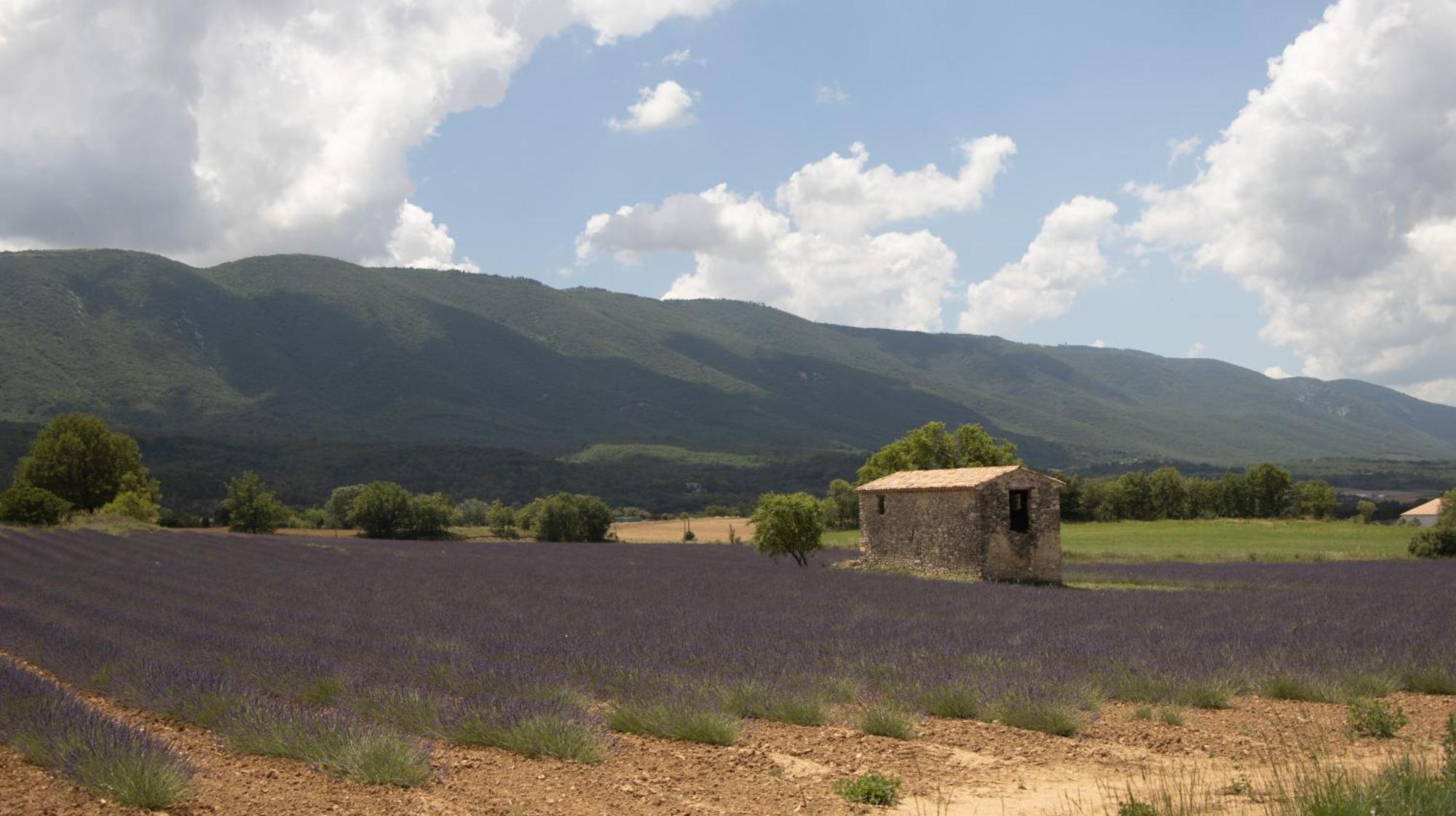 Studio Dans Le Luberon Céreste Exteriér fotografie